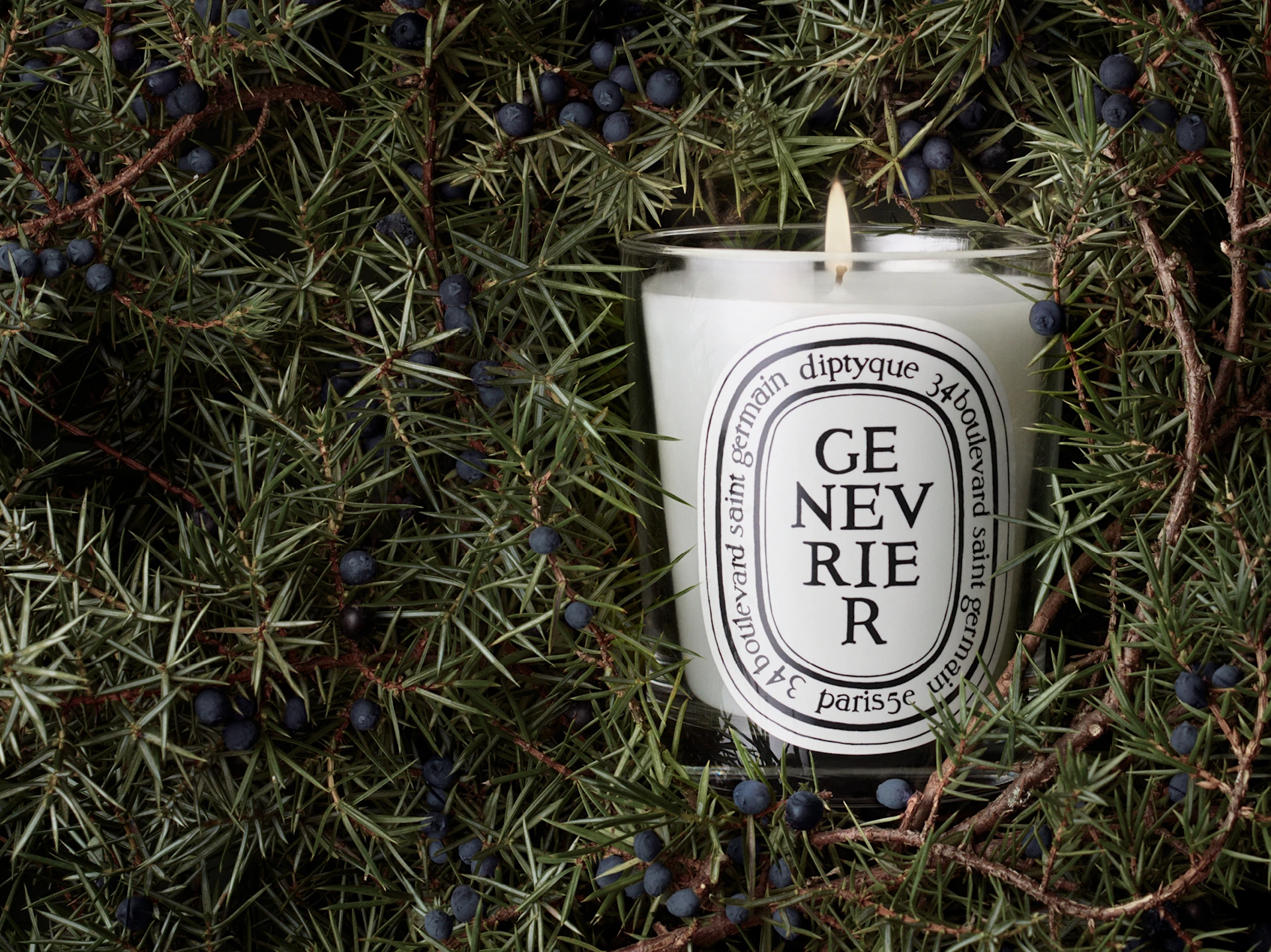 Candle of the Month: Genévrier (Juniper)