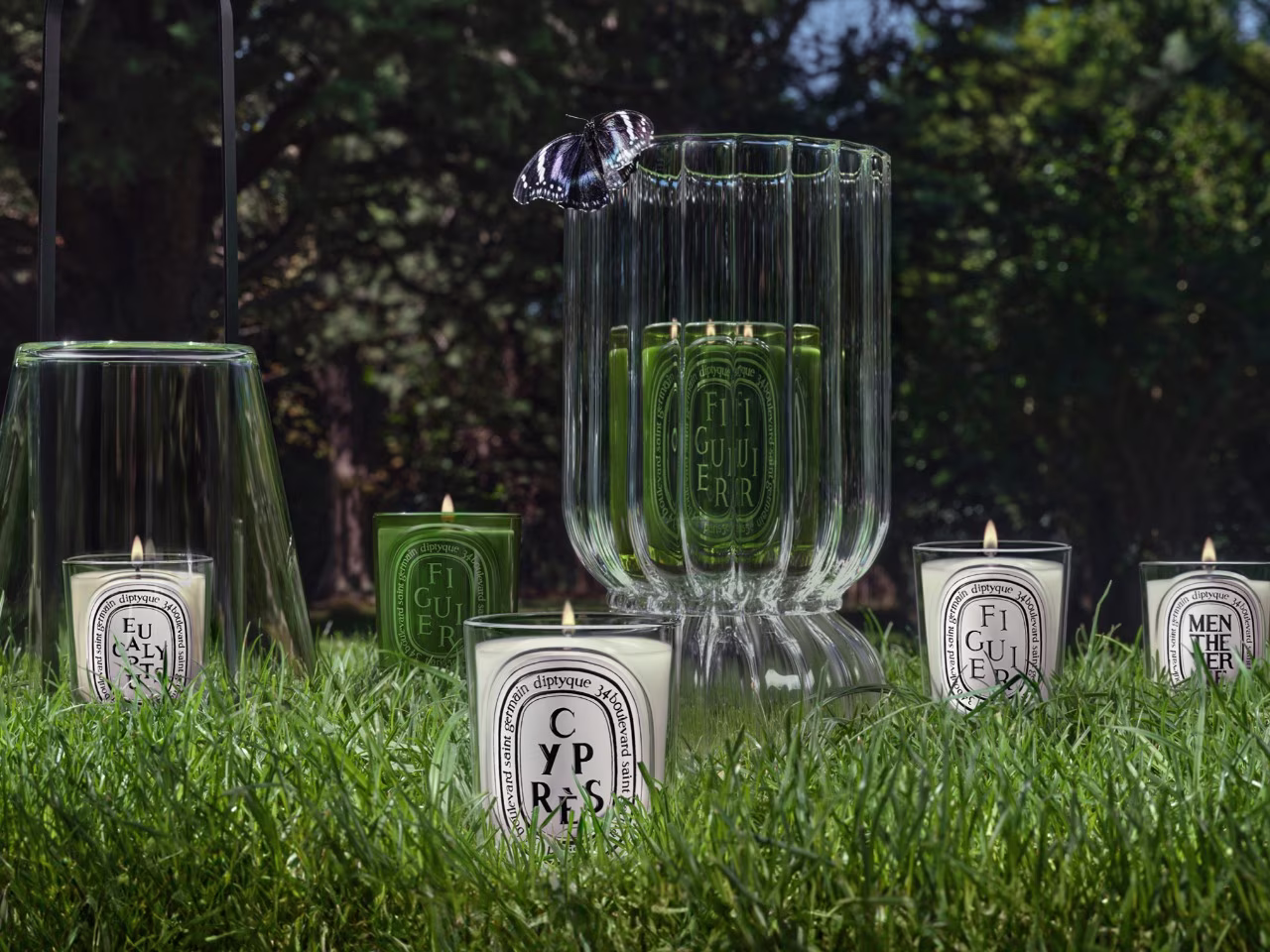 Summer Candles