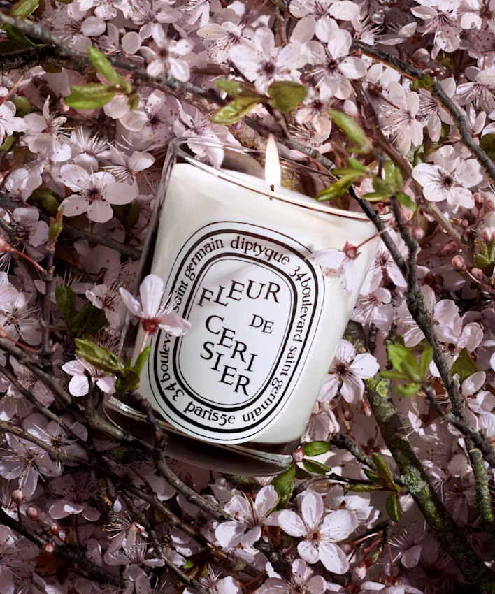 Fleur de Cerisier<br>フルール ド スリジエ / <br>サクラ