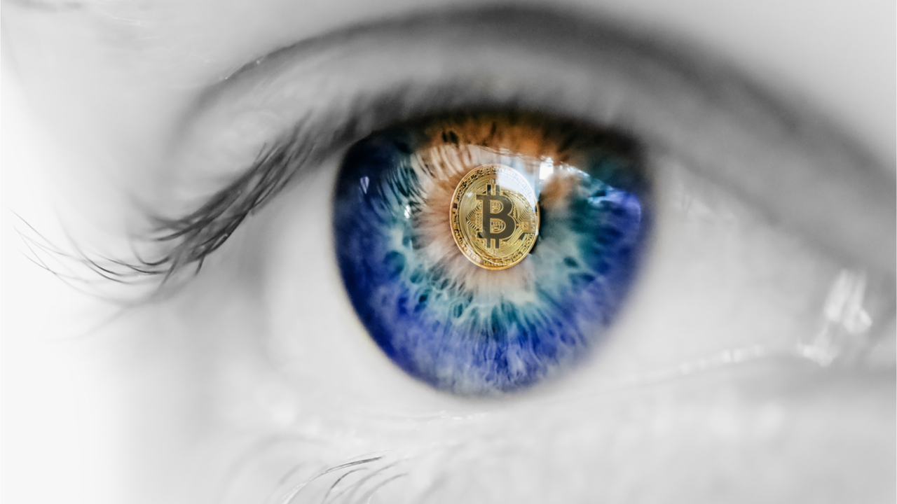 Ruble Hits 7-Year High, Bukele, O’Leary Unfazed by Crypto Downturn, Elon Musk Will Keep Buying DOGE — Bitcoin.com News Week in Review