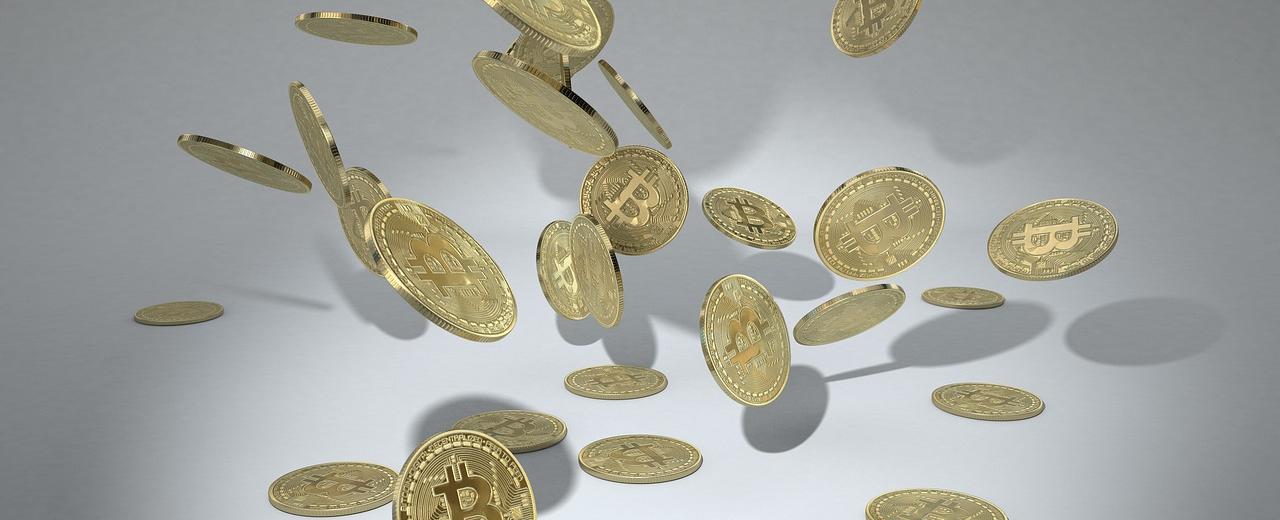 Expert Outlines Best Crypto Assets To Hodl During Crypto Winter