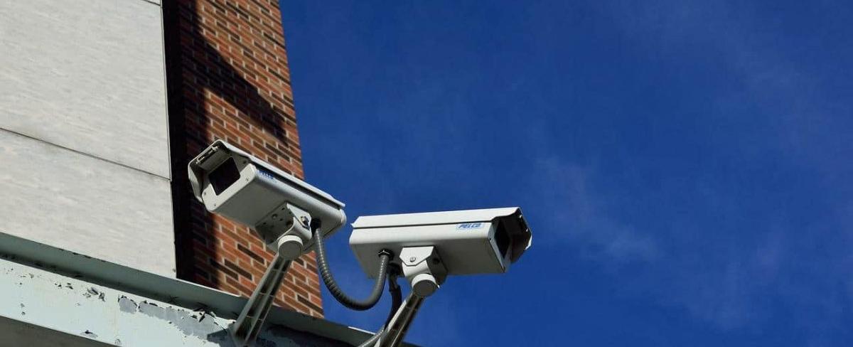 Statistics in this crypto crime report might give you goosebumps