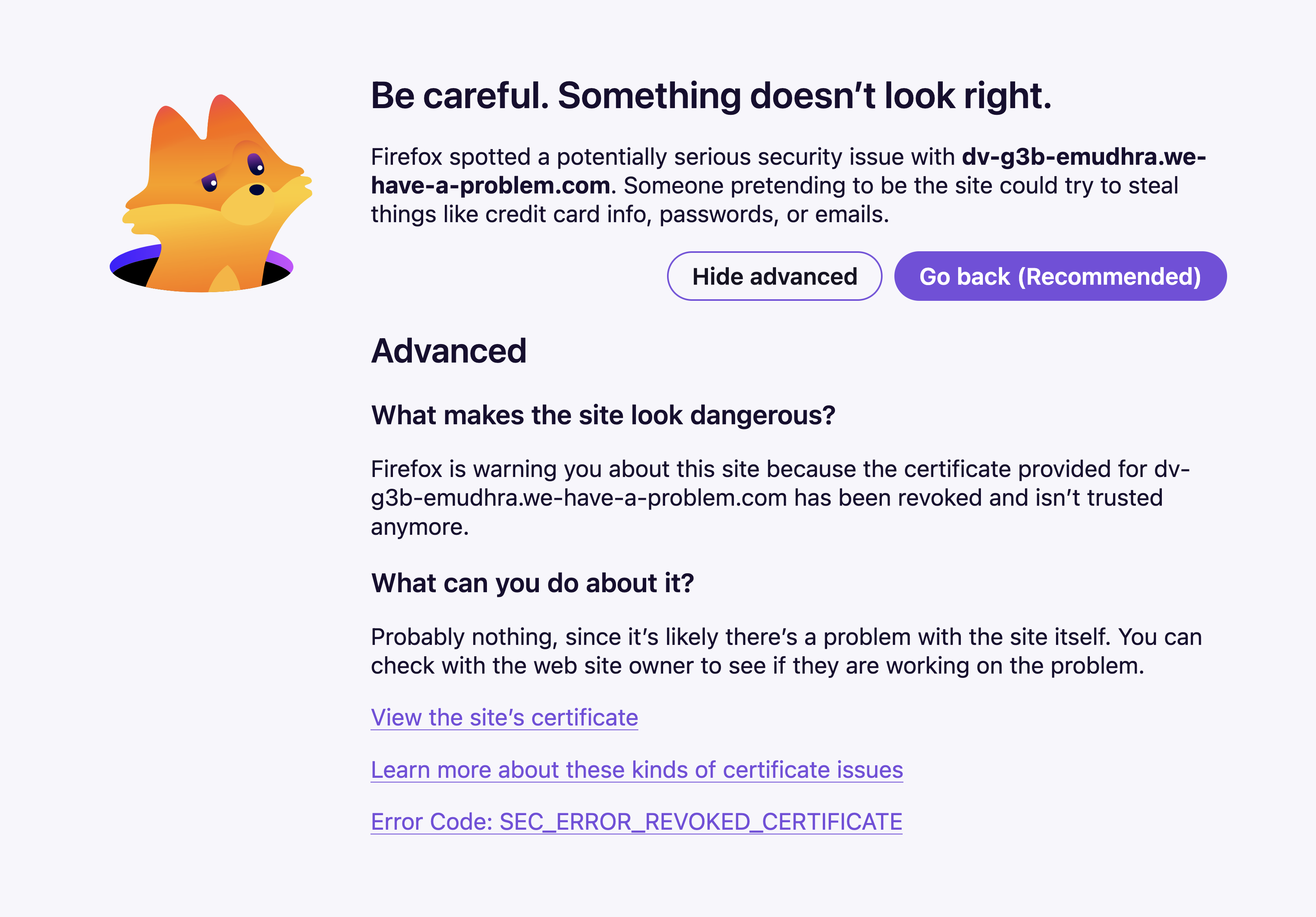 Firefox CRL eMudhra Revocation