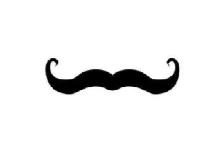 Handlebar mustache icon, curled ends 
