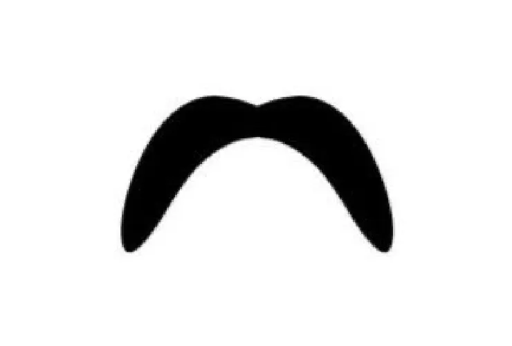 Horseshoe mustache icon, extends down past the mouth