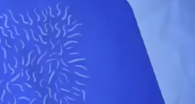 Taglia i capelli sulla schiena