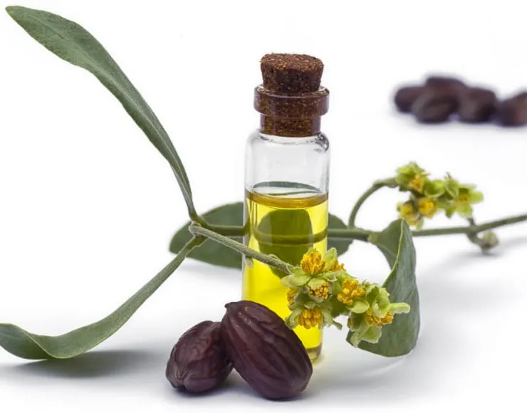 L'huile de jojoba, idéale pour les peaux à imperfections