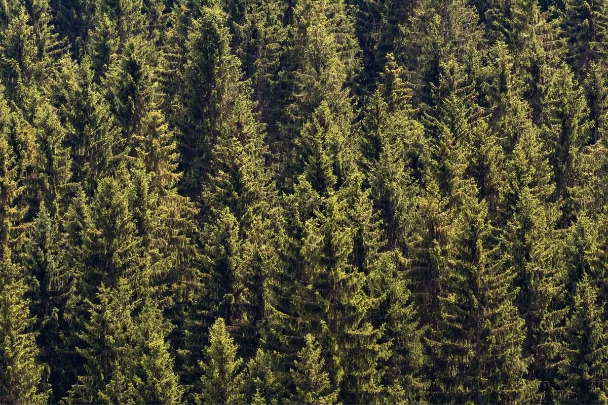 Protecting Our Planet
