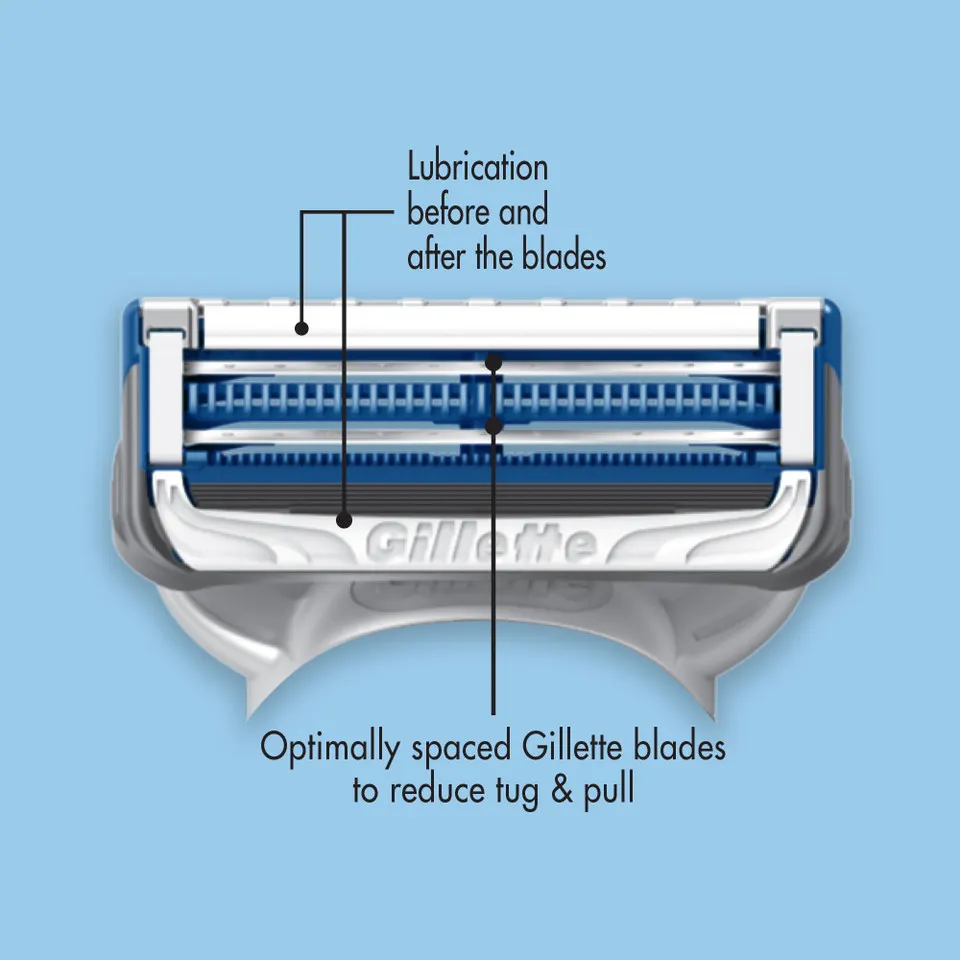 Gillette Skinguard Razor