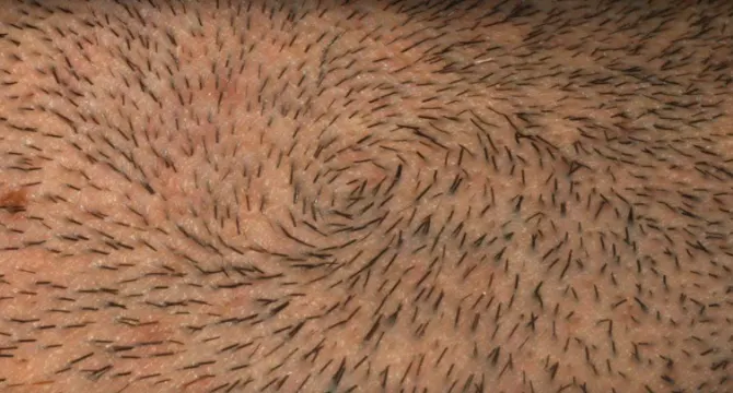 I capelli duri possono essere difficili da trattare