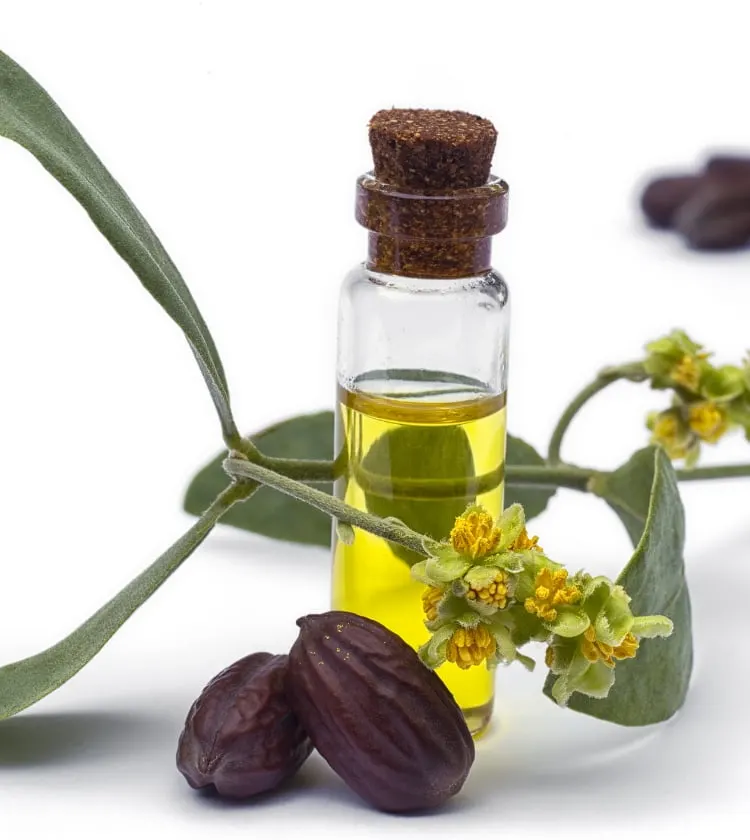 L'huile de jojoba, idéale pour les peaux à imperfections