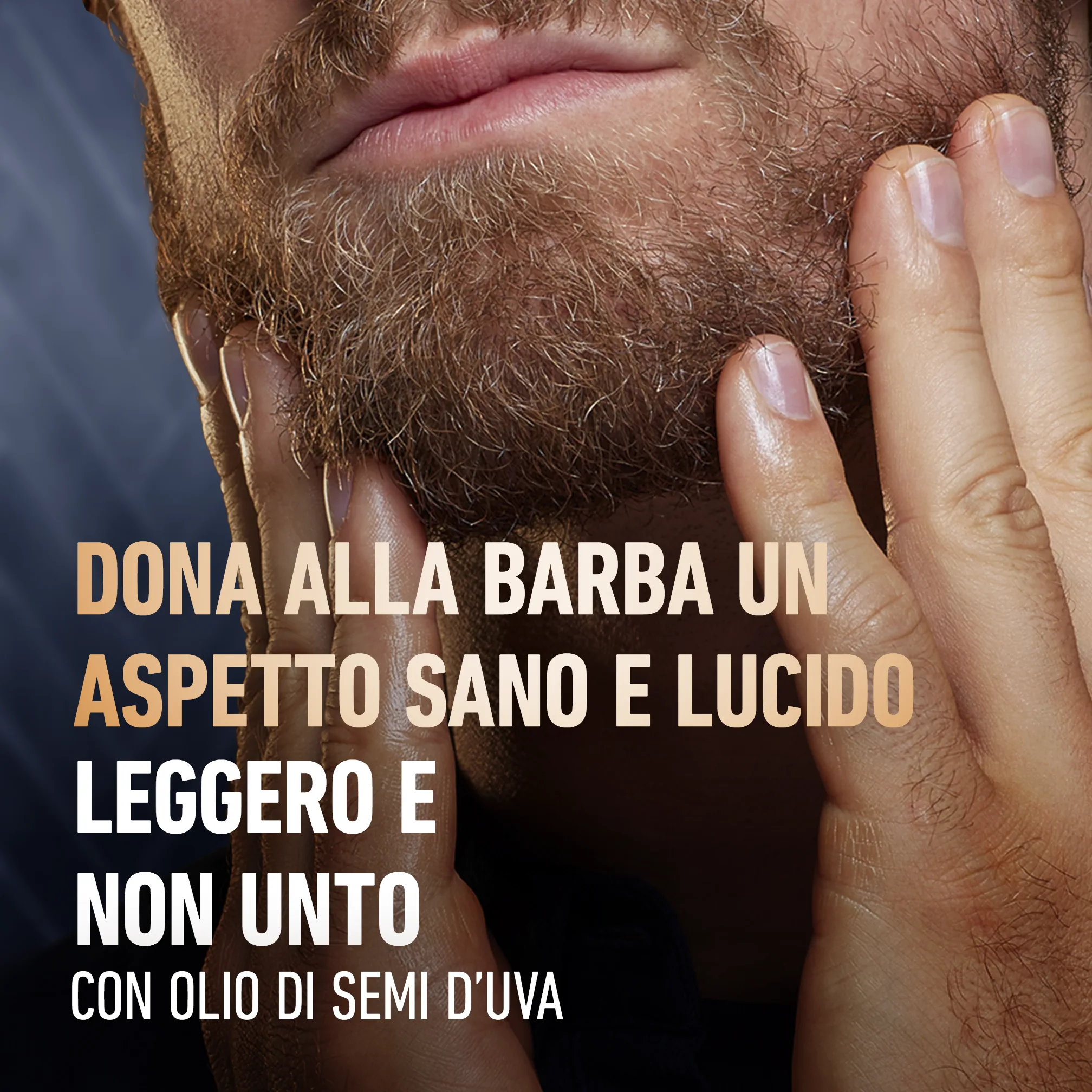 Olio Da Barba King C. Gillette Con Olio di Avocado, Olio di Mandorle Dolci e Olio Di Argan 2
