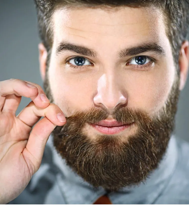 La Bible du Soin de la Barbe