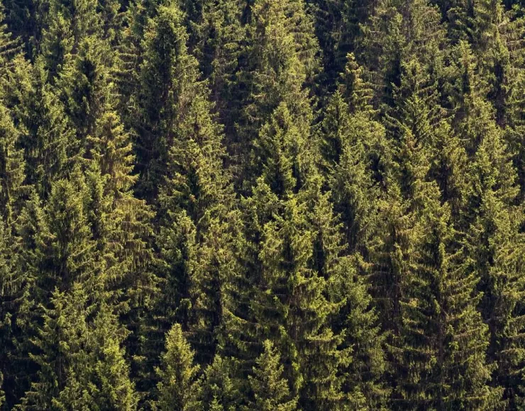 Protecting Our Planet