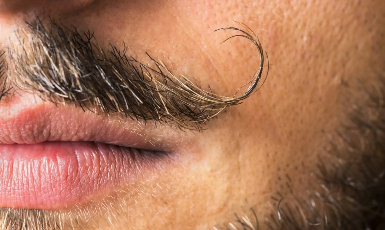 Benutze Deinen Bart als Antenne, so wie Salvador Dalí