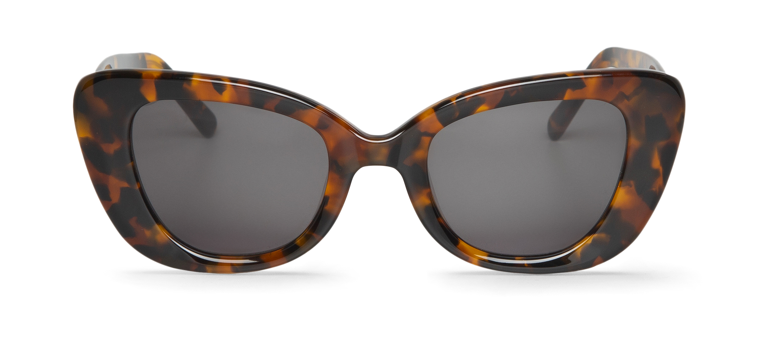 Caparica Cheetah Tortoise