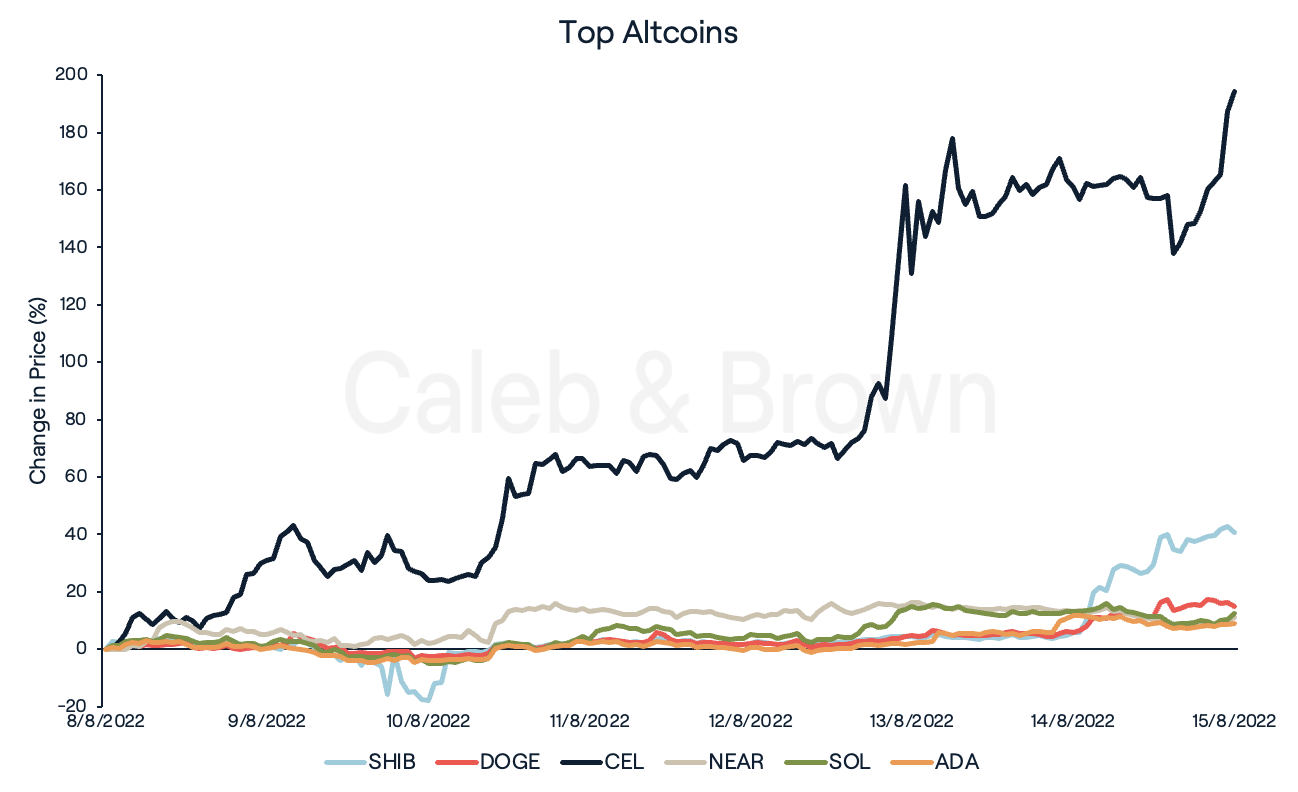 Altcoin Top Performers