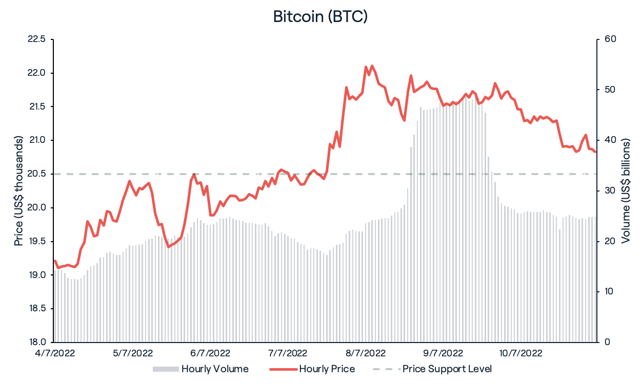 Bitcoin (BTC)