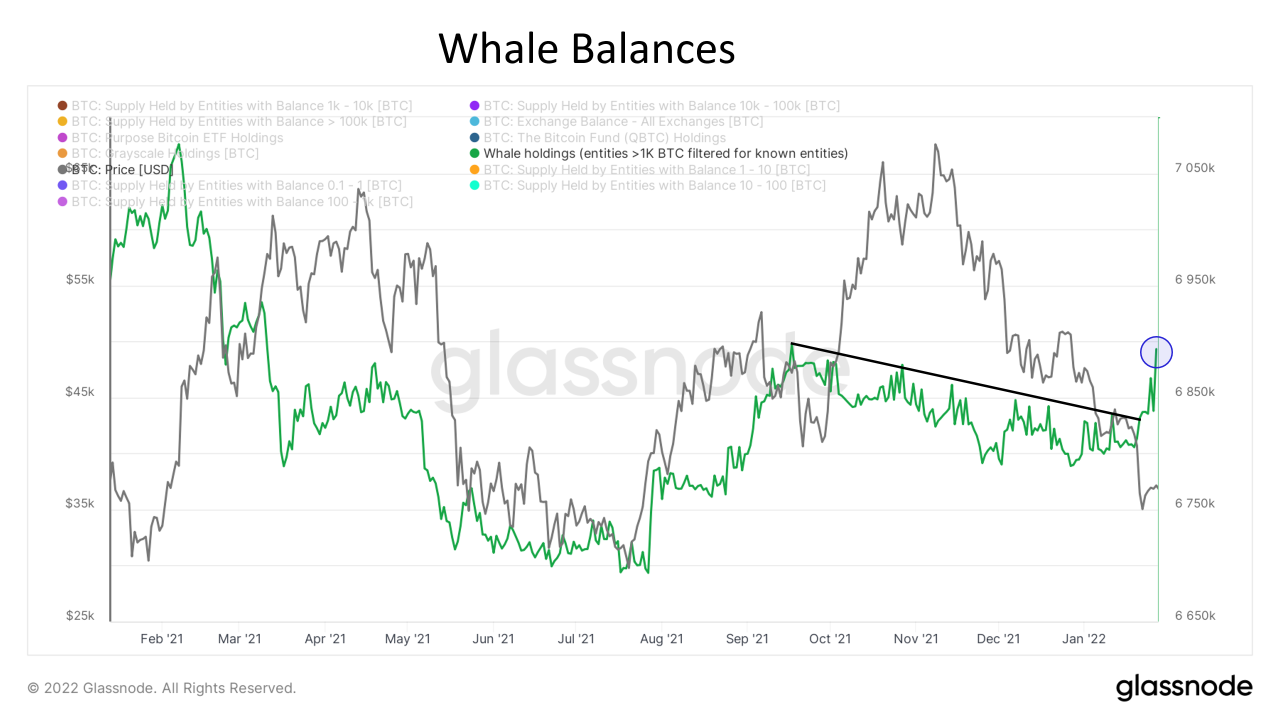 Whale Balances