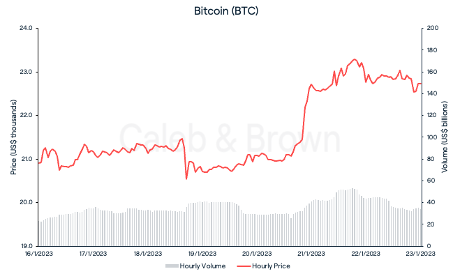 BTC 23 Jan