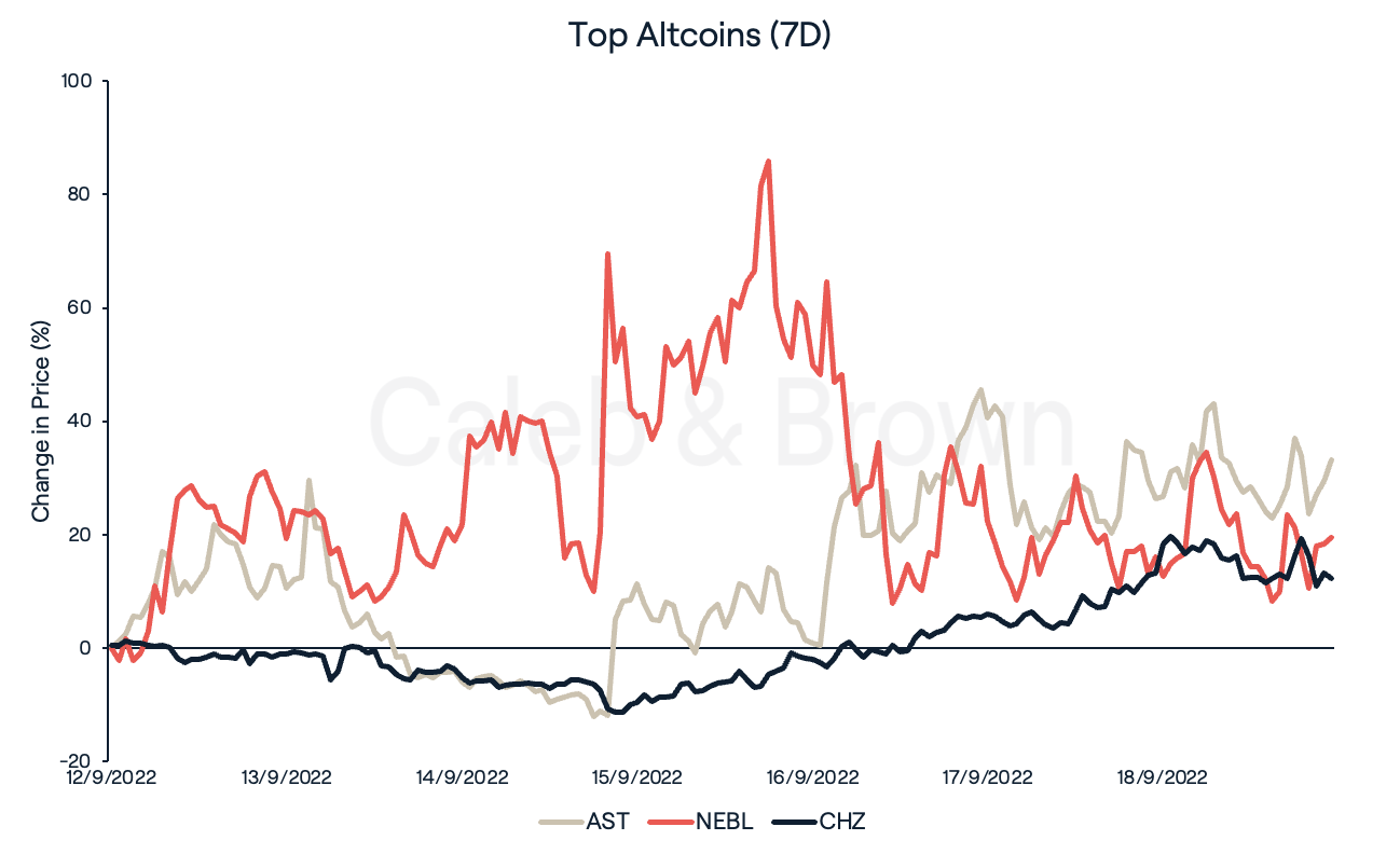 Top Altcoins