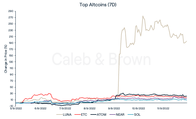 Top Altcoins