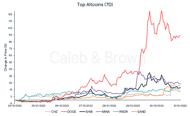 Top Altcoins