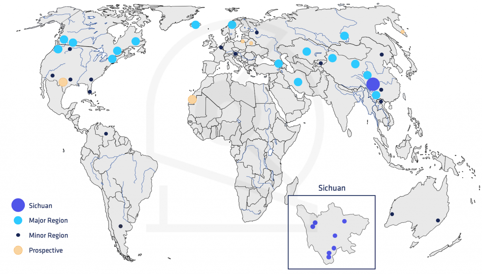 Bitcoin Ecosystem