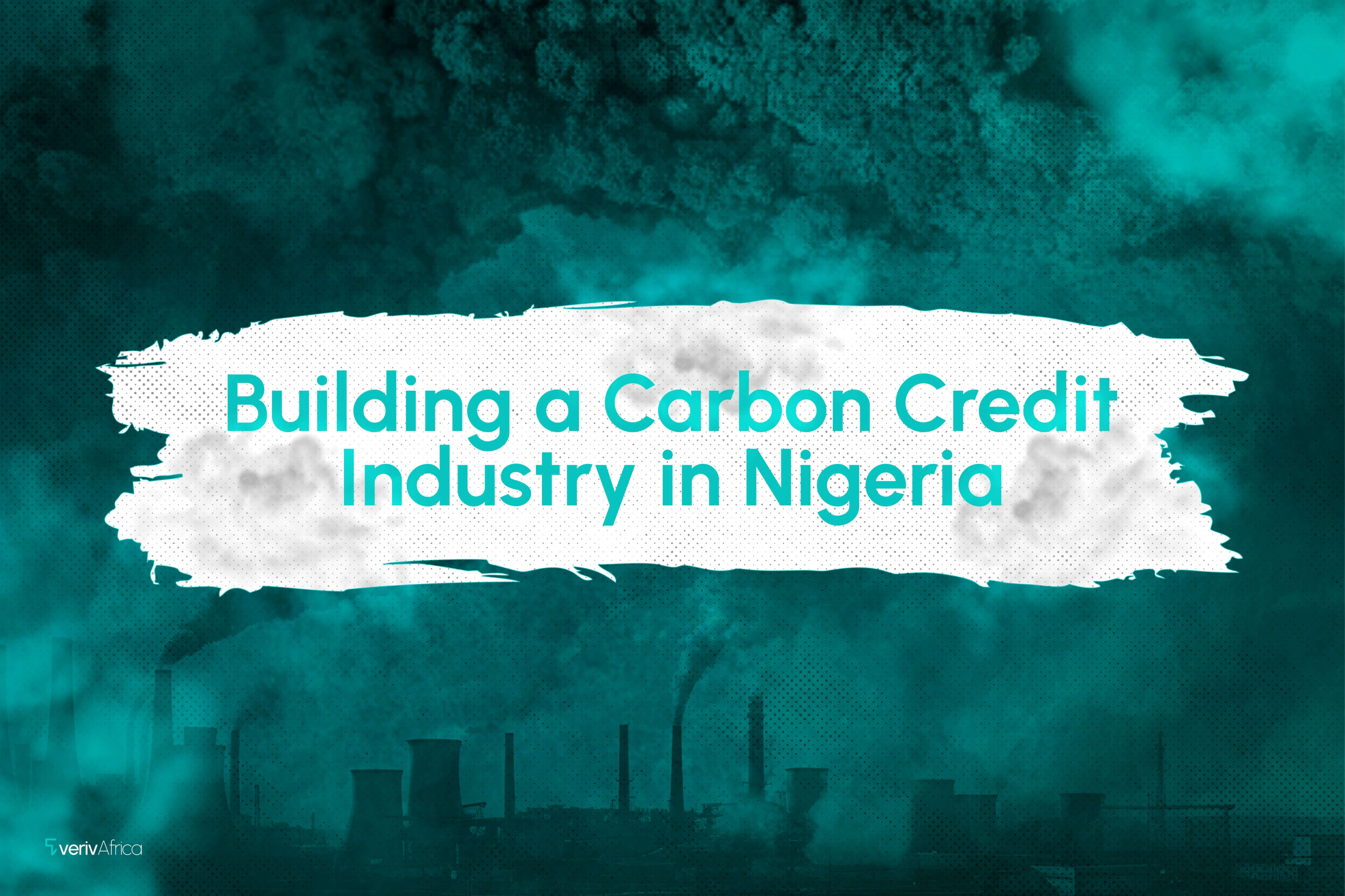 Building a Carbon Credit Industry in Nigeria