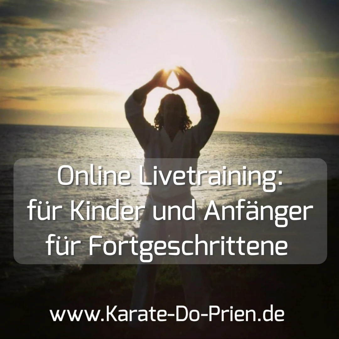 Onlinetraining