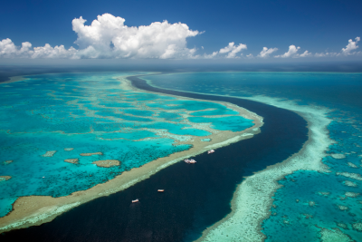 The Great Barrier Reef,  stretching over 2,300 kilometers along the northeast coast of Australia, is protected as a Particularly Sensitive Sea Area (PSSA) due to its unique biodiversity and vulnerability to impacts from maritime activities, including anchoring, and pollution.