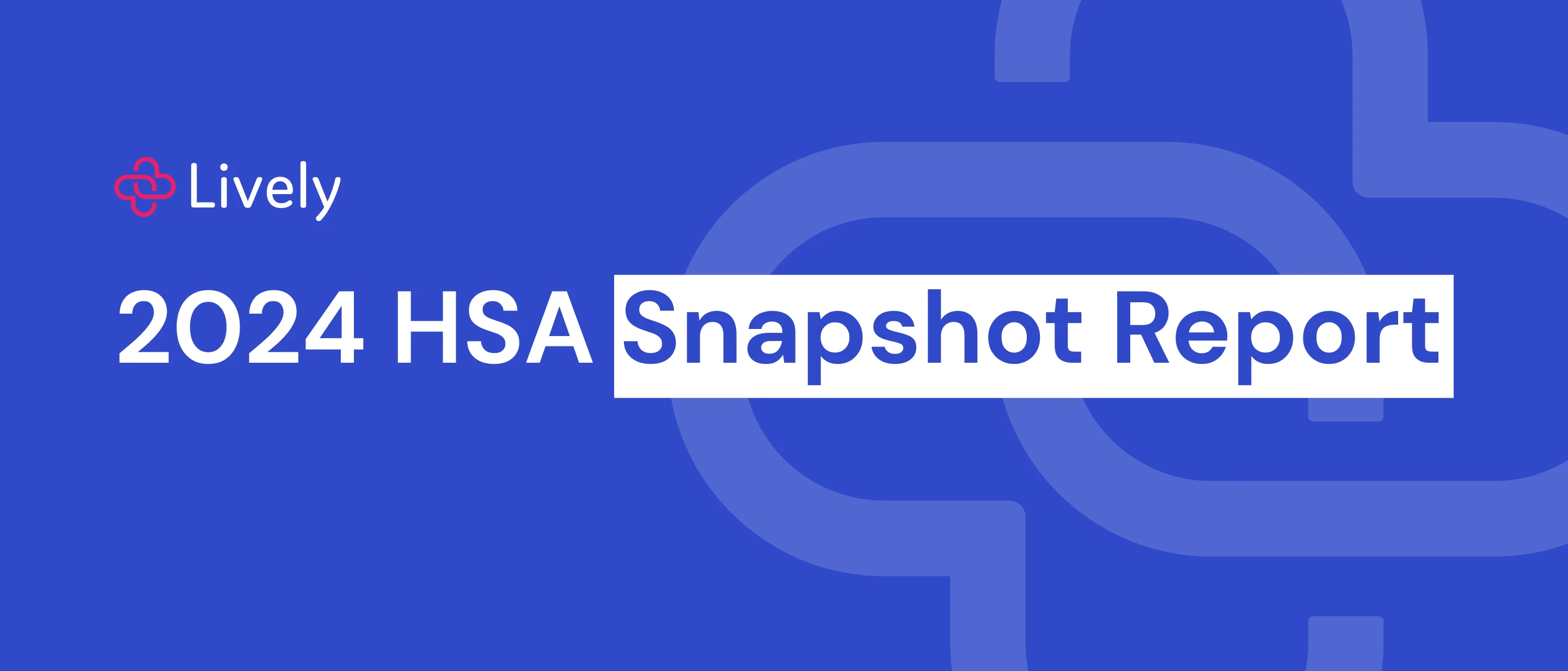 Blog HSA Snapsnot Report Images - Header