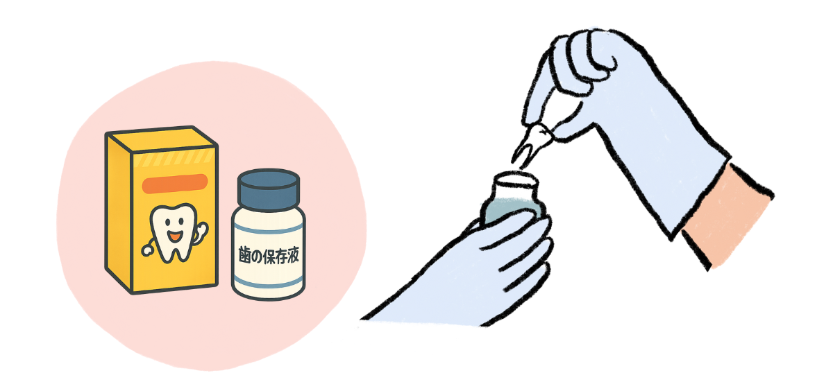 歯の保存液