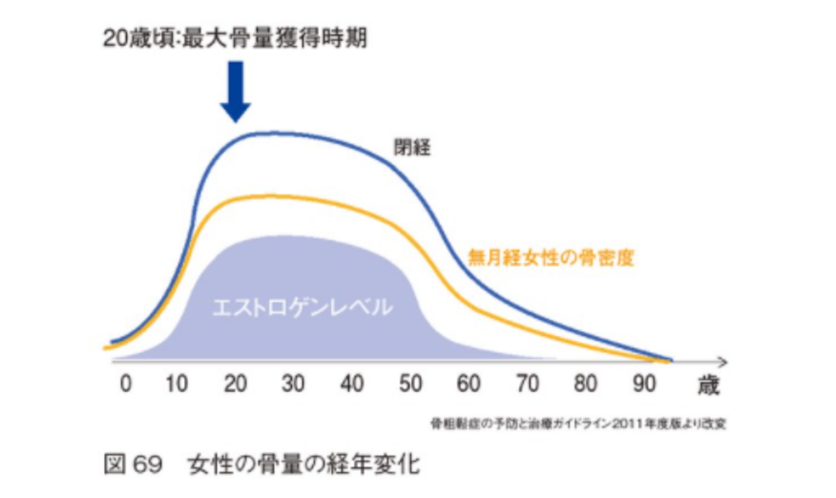 女性の骨量の経年変化