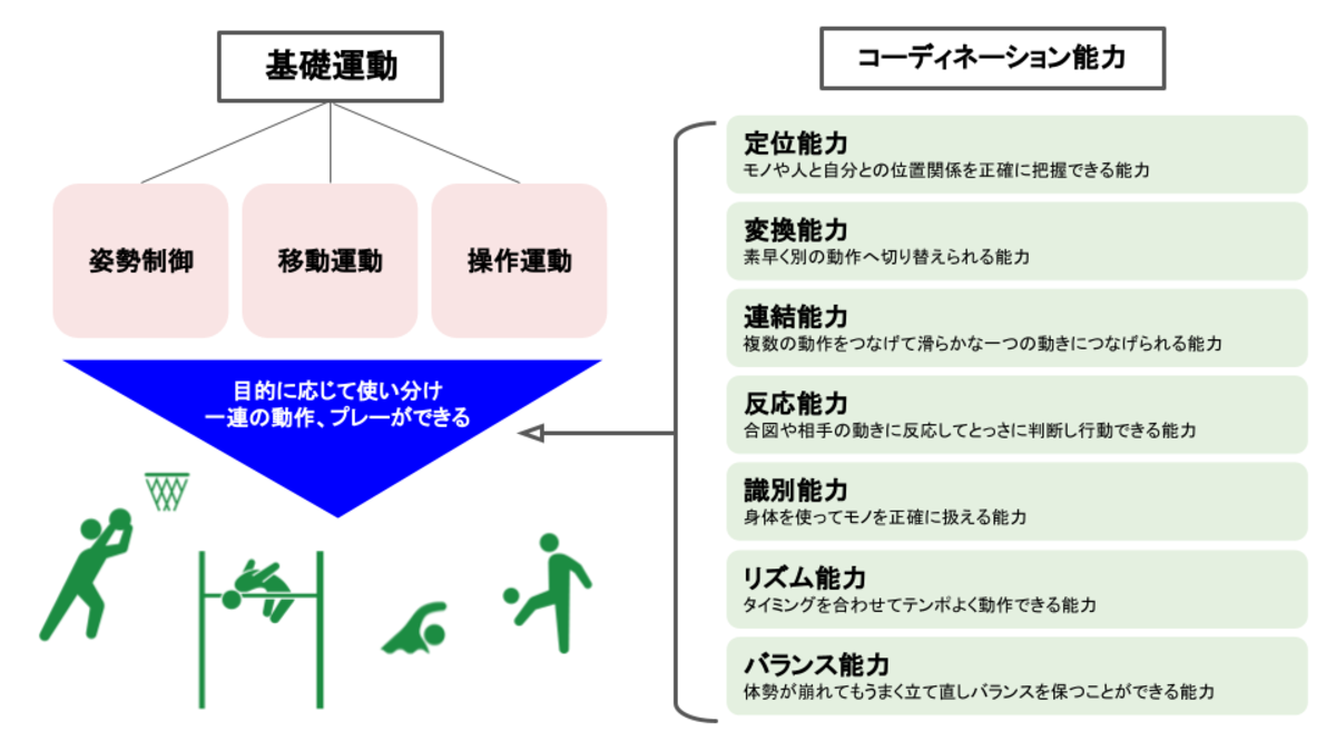 基礎運動とコーディネーション能力