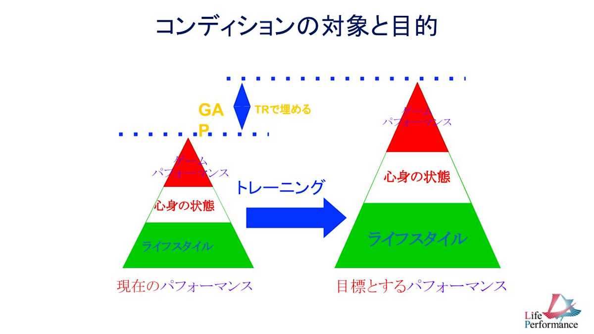 パフォーマンスピラミッド(株式会社ライフパフォーマンス)
