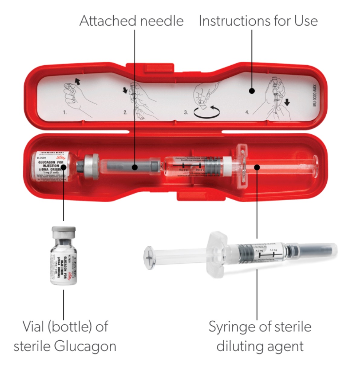 a glucagon kit includes a syringe and vial
