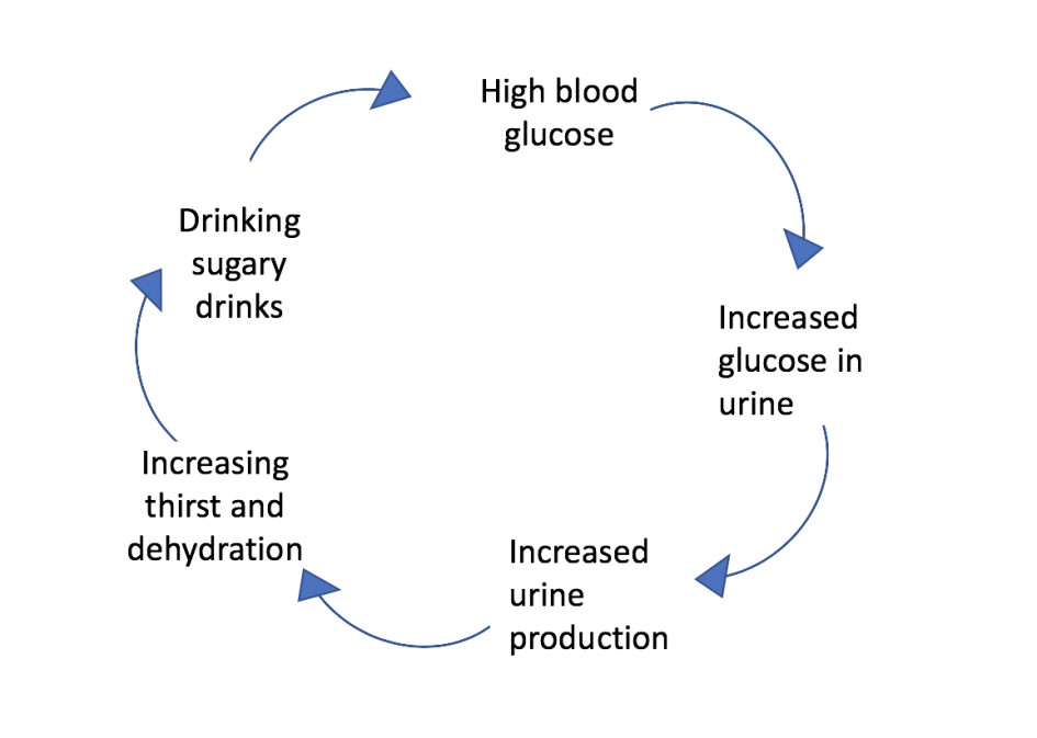 type 1 diabetes symptoms chart