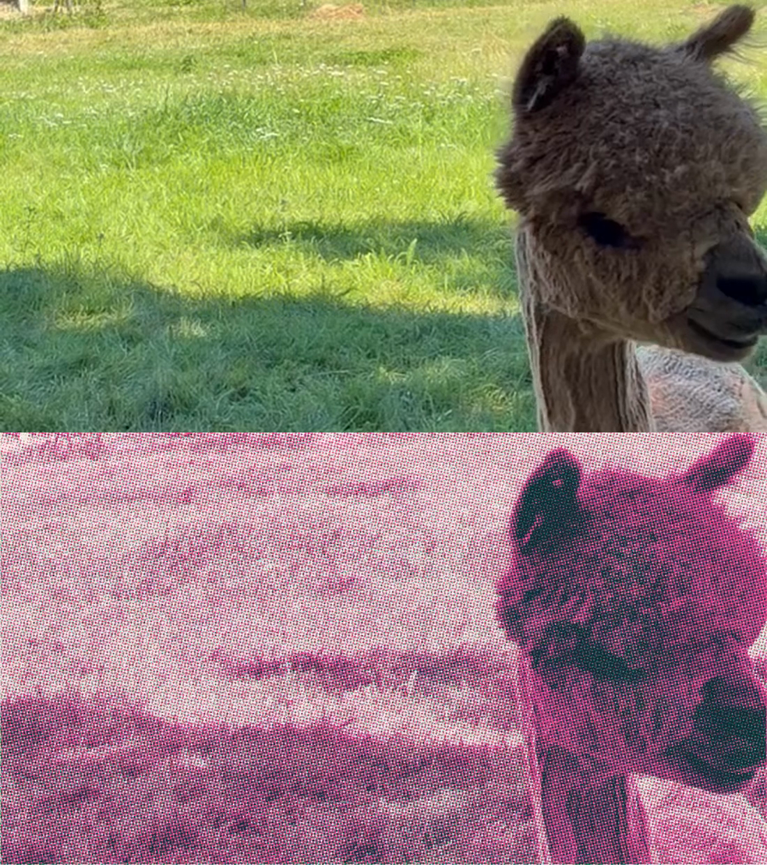 Sama videoruutu suoraan puhelimesta ja risokäsittelyn jälkeen.