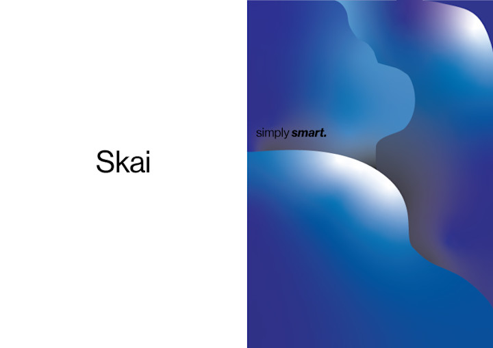 Skai Marketing Materials #2: Advertisements For Skai. Two Panels With Different Styles Of Marketing Ads. The First Ad Has Simple Design With The Brand Name And Logo And The Second Uses Gradient Blobs To Create Modern Look.