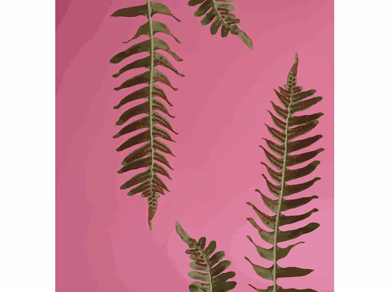 Cover Image For Photos With Graphic Design Elements