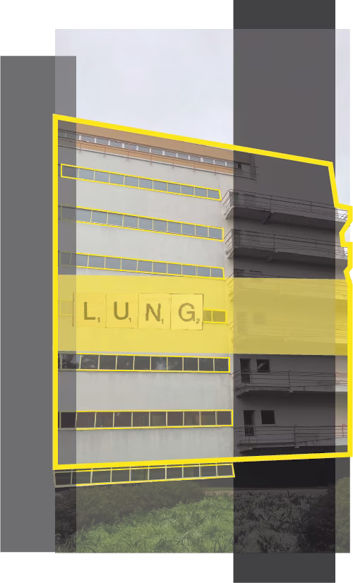 Paimion Parantola Poster Lung: 
