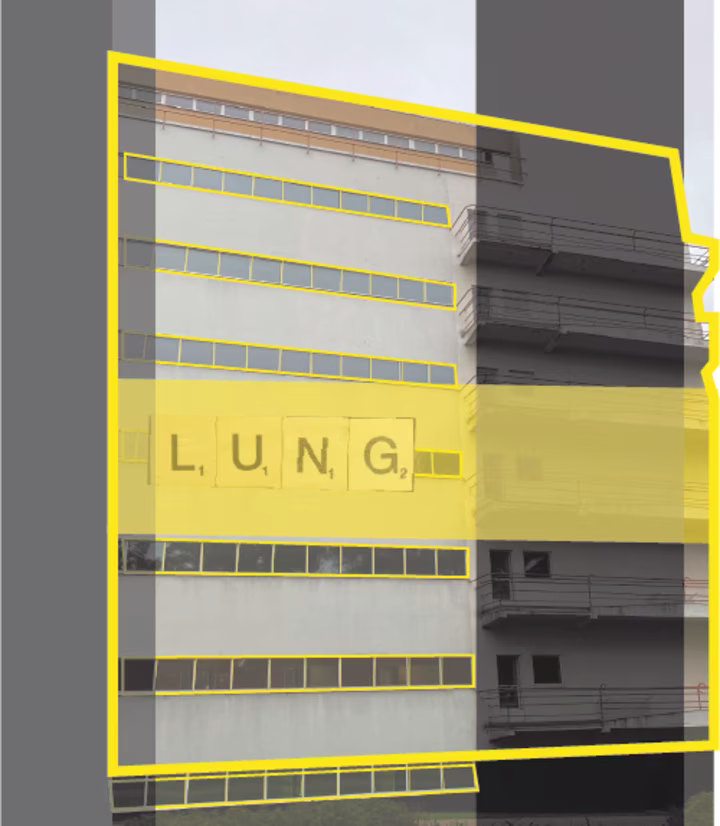 Paimion Parantola Poster Lung: