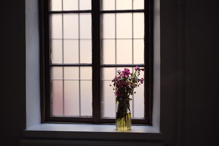 Everydays Series Everyday Scene Photographed With Intention And Care