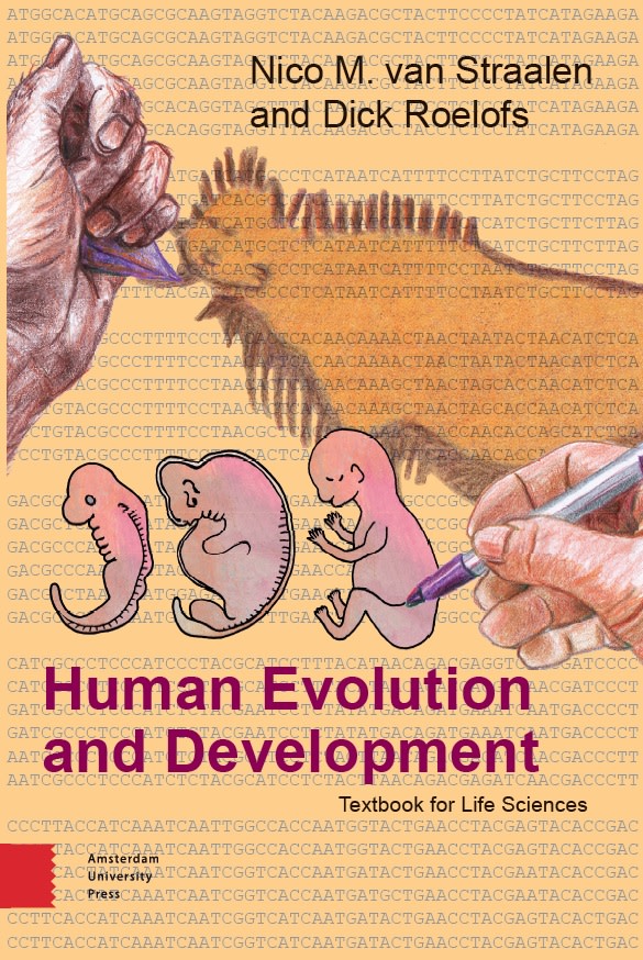 Human Evolution and Development Amsterdam University Press