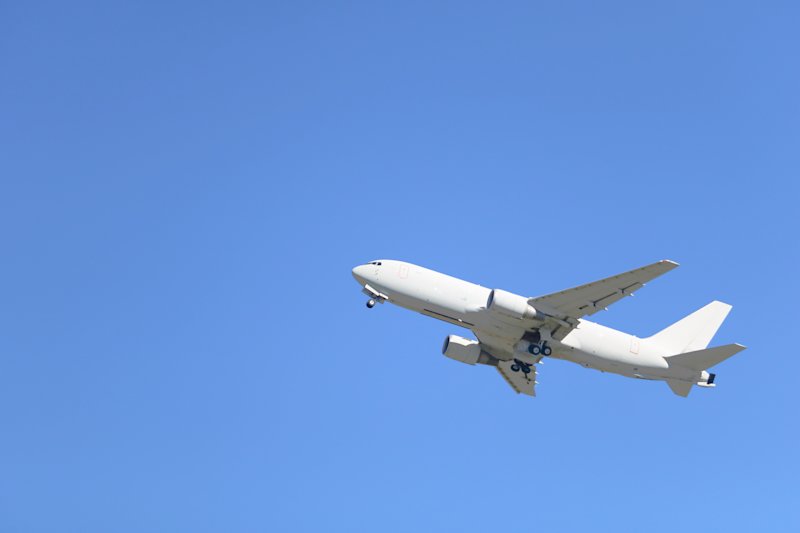 外国人が日本で死亡した場合の手続きや遺体の母国搬送について解説