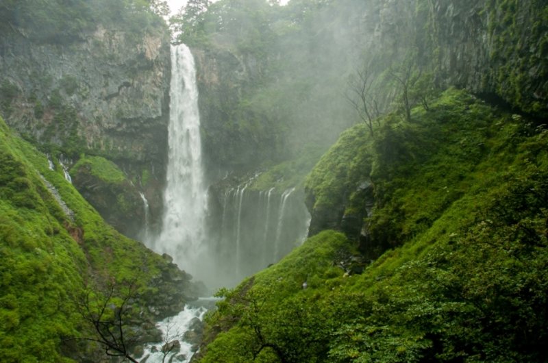 費用は0円?散骨を山で行う際の注意点・手順について解説