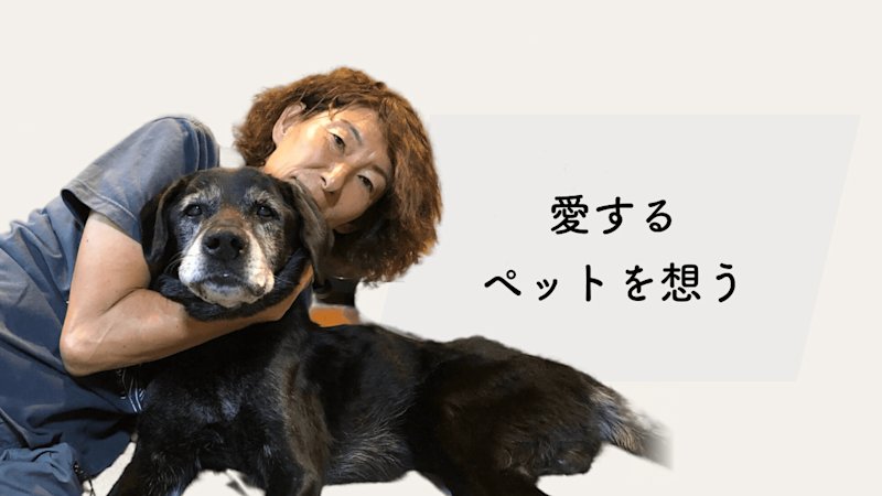 みんなでペットを偲びたい 葬想式ユーザーストーリー