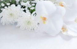 無宗教葬儀の流れ、費用、内容、注意点について解説!