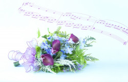 【葬送曲とは葬儀や告別式で流す曲】人気のクラシックや邦楽の代表作と特徴